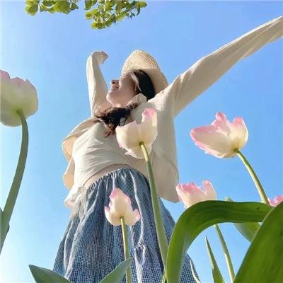 犀牛季节封面
